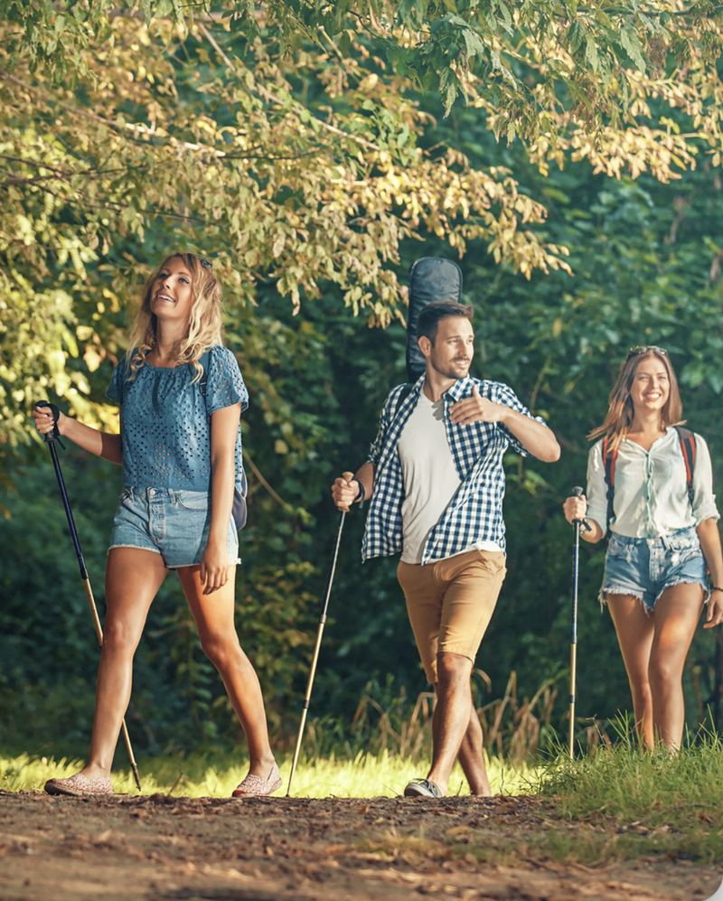 Three friends hiking on a sunny forest trail